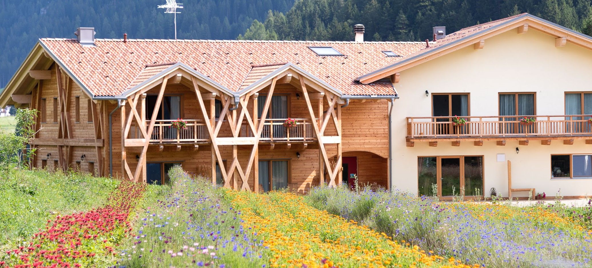 Eco-Green Agriturismo Fiores - Image 1