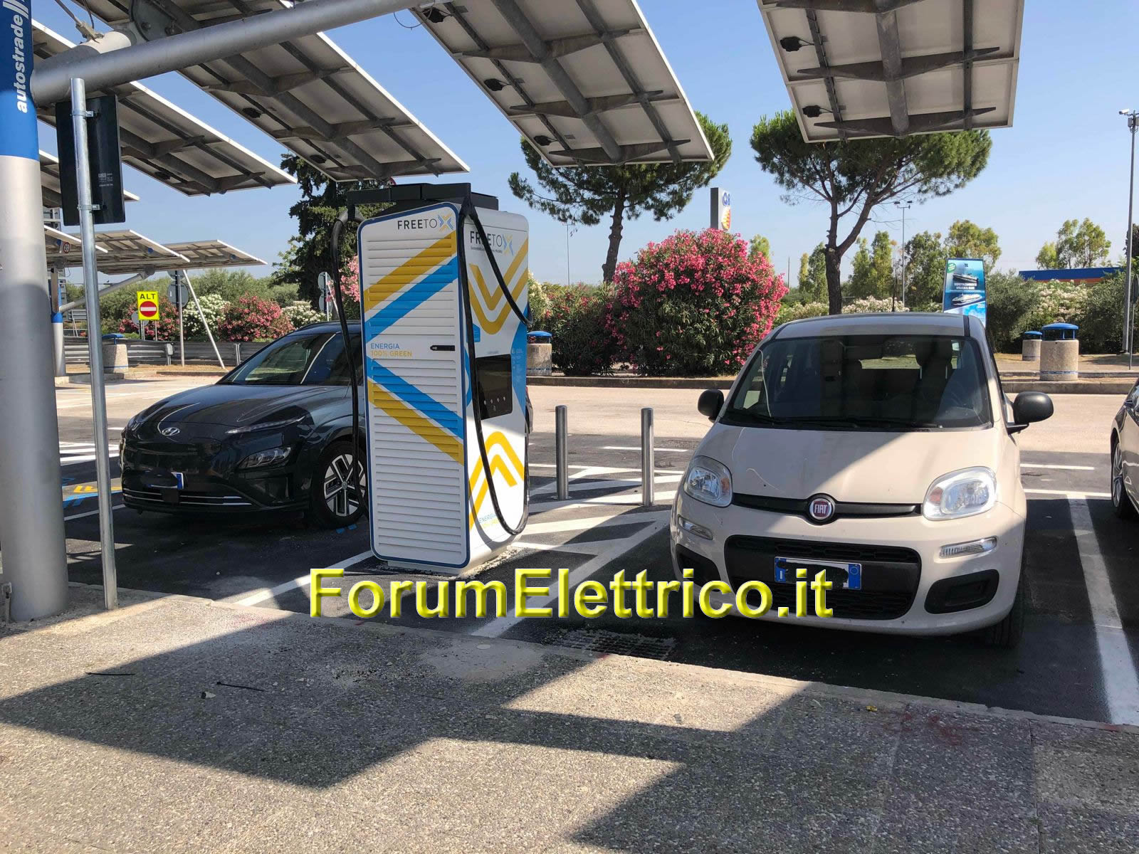 Free to X Canne della Battaglia Est - Image 1