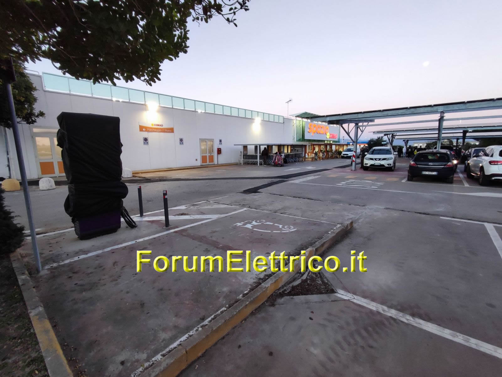 Ewiva Conad Jenner - Image 1