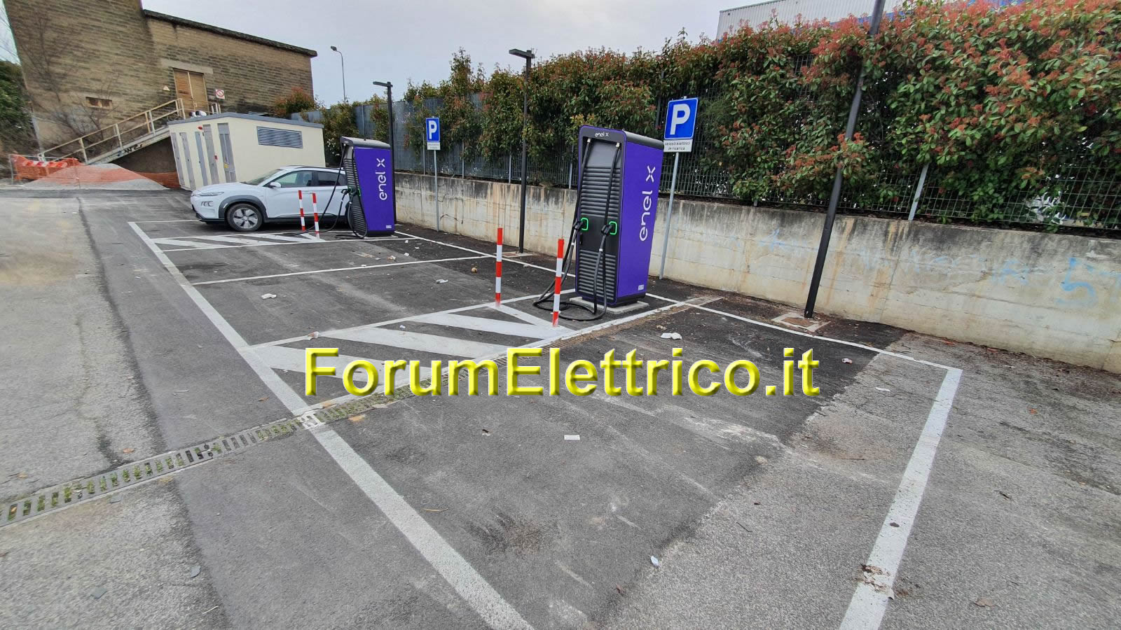 Ewiva Fiano Romano - Image 1