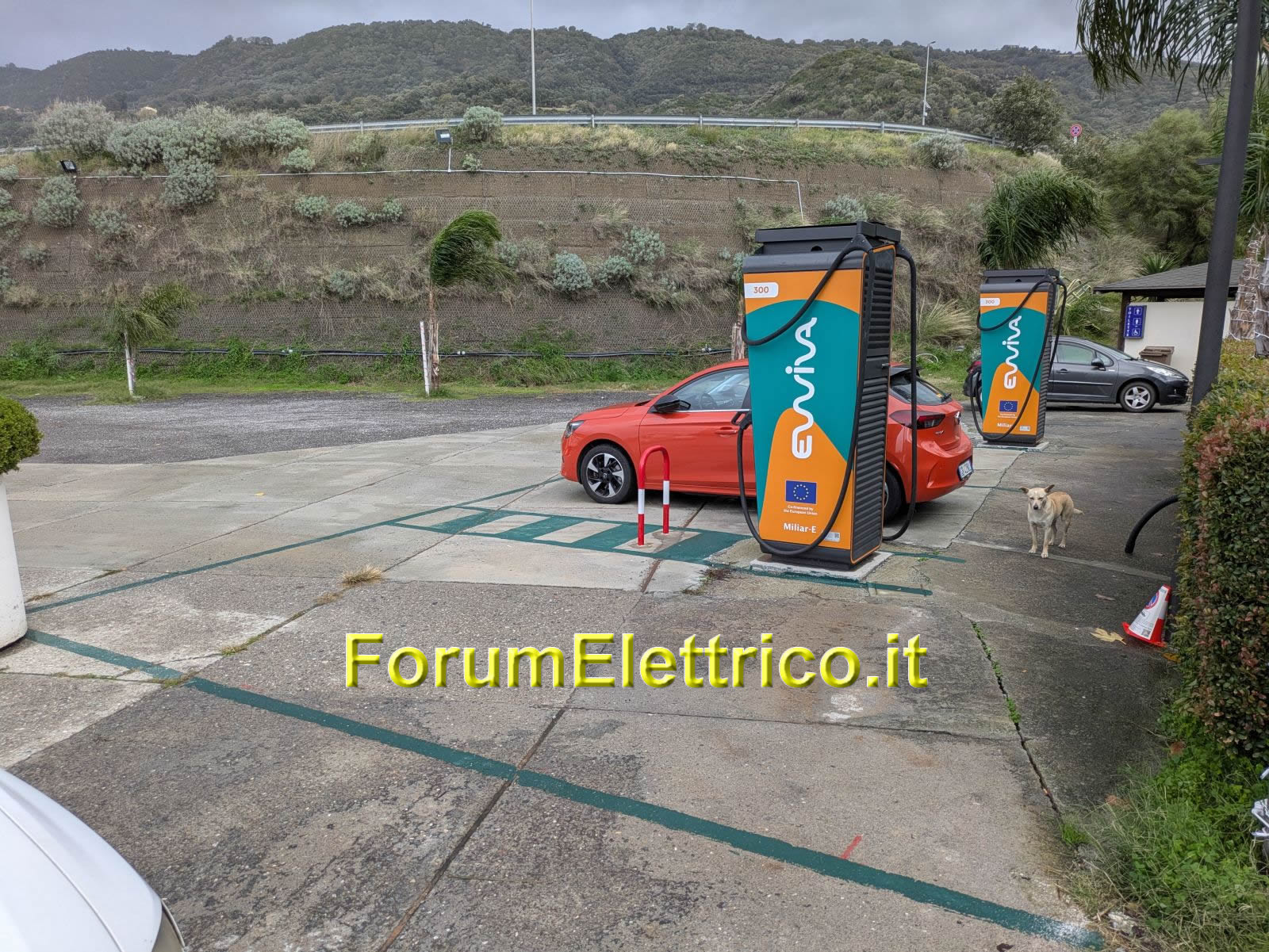 Ewiva Falerna Marina - Image 1