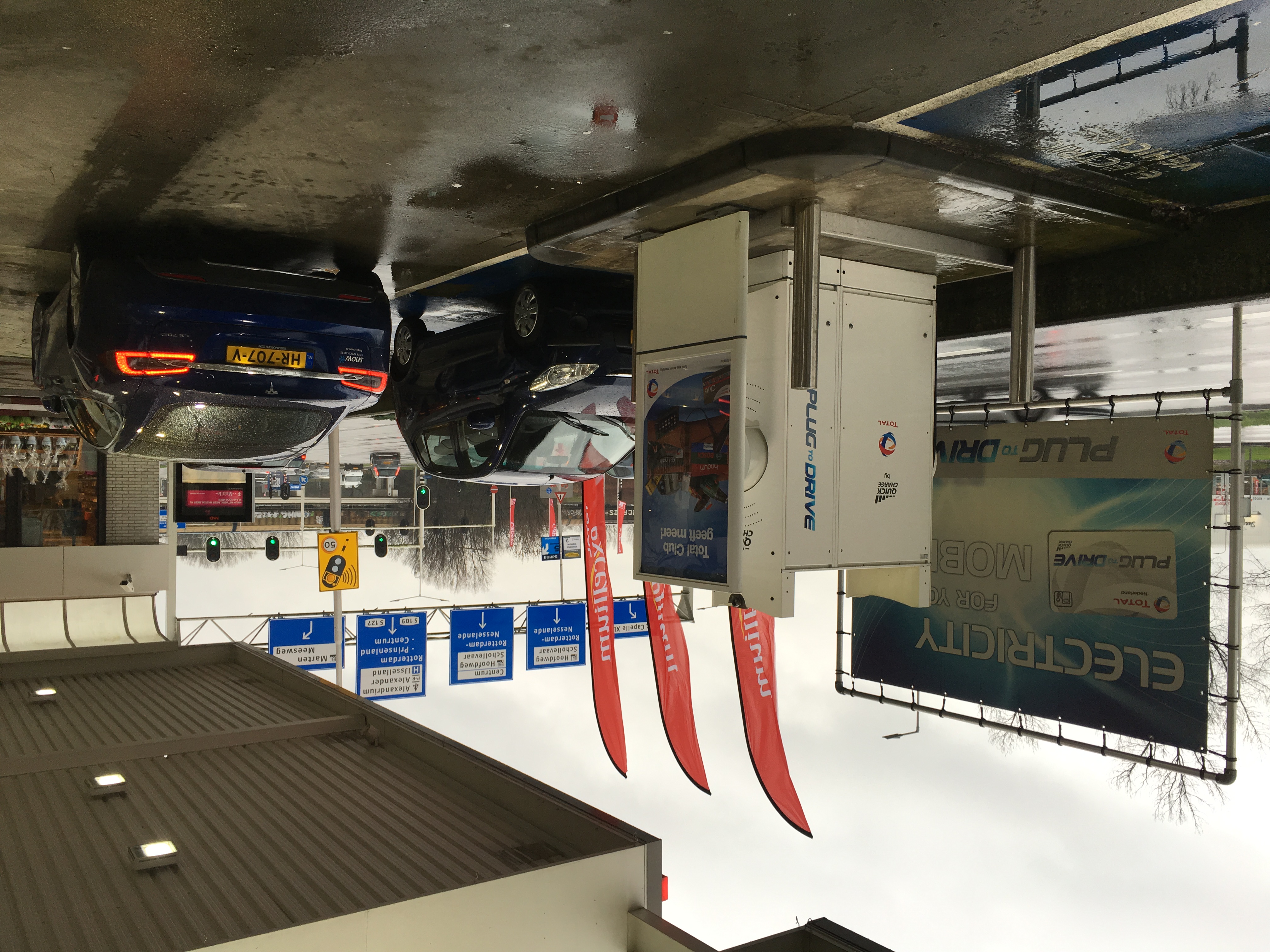 Total Alexandrium - Image 1